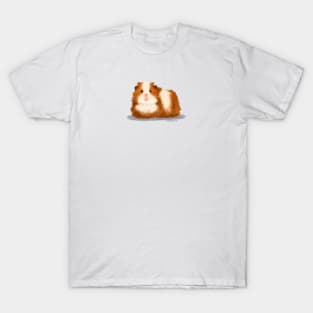 Texel Guinea Pig T-Shirt